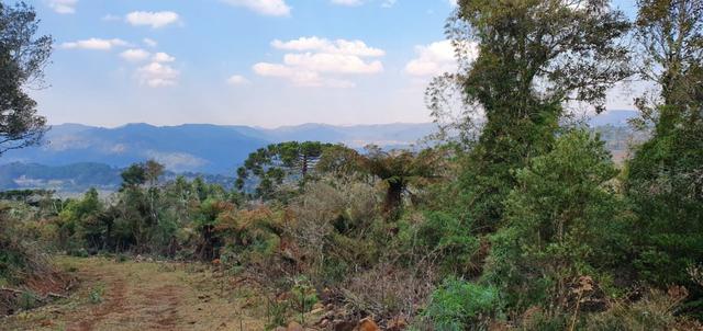 Sitio em Urubici/ chácara em Urubici - Foto 3