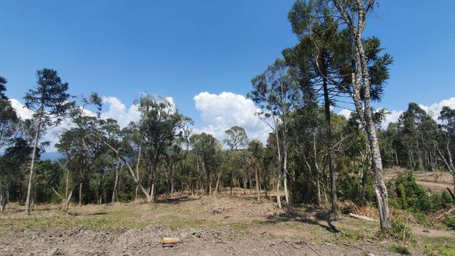 Sitio em Urubici / chácara em Urubici /próximo a Rio Rufino - Foto 3