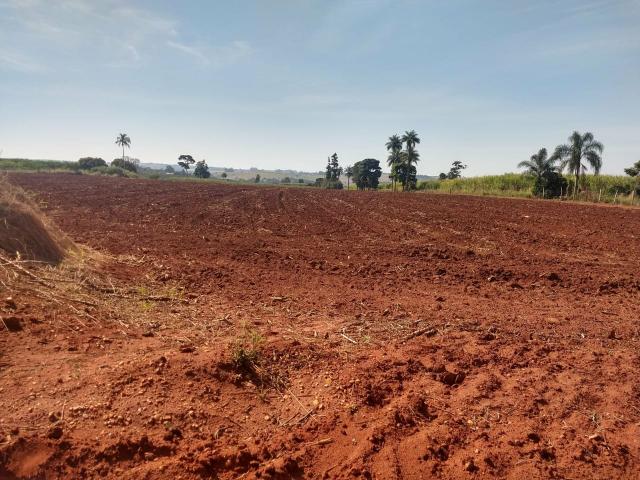 Chácara proximo Paulínia 500mts 23mil