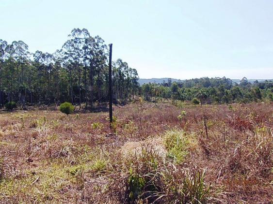 Chácara c/5,1 ha, Bom Jardim - Montenegro - 36 - Foto 13