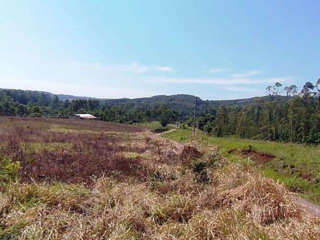 Chácara c/5,1 ha, Bom Jardim - Montenegro - 36