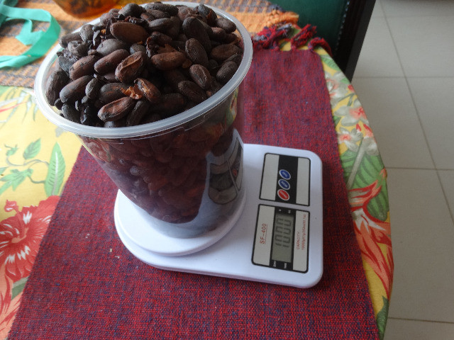 Amendoas de cacau torradas 1kg Ibiracau - Foto 2