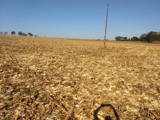 Chácara 28400 m2 próxima da cidade de Entre Rios do Oeste PR Troco por casa ou sobrado