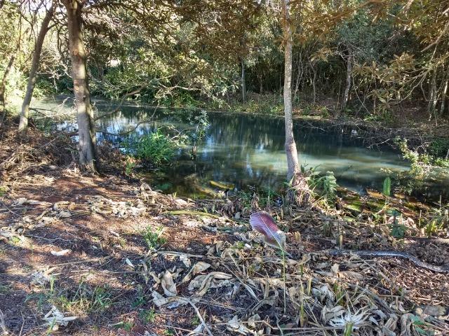 Chácara 28400 m2 próxima da cidade de Entre Rios do Oeste PR Troco por casa ou sobrado - Foto 8