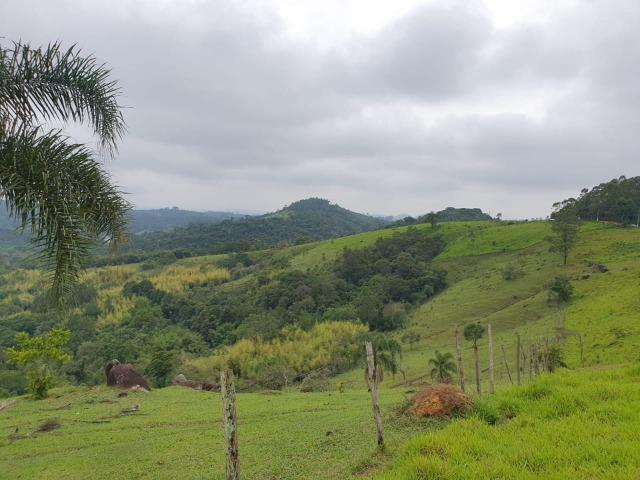 03* Maravilhoso Terreno em Arujá , paraíso da Grande São Paulo - Foto 4