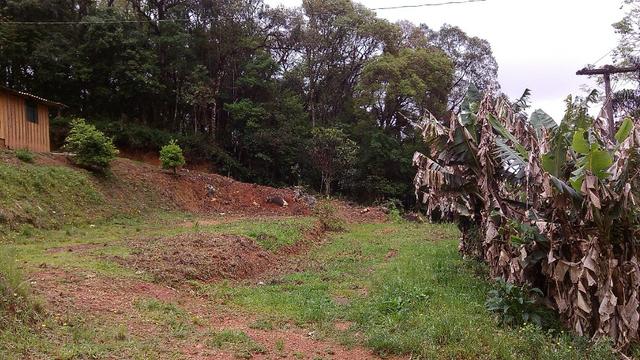 Alugo casa em Bateias Campo Largo - Foto 2