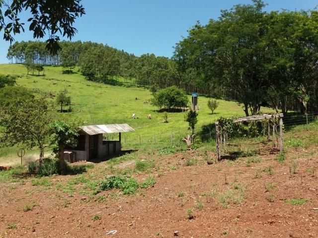 Área rural localizado na cidade de Lindoeste-PR - Foto 16