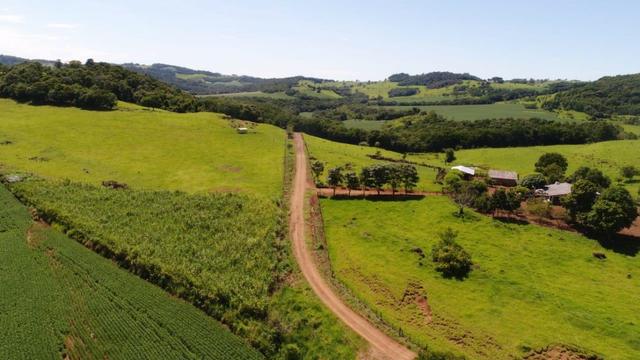 Área rural localizado na cidade de Lindoeste-PR - Foto 10