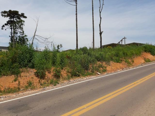Área Localizada a apenas 120 metros da Rodovia do Xisto/Araucária - Foto 5