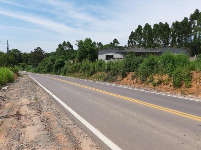 Área Localizada a apenas 120 metros da Rodovia do Xisto/Araucária - Foto 2