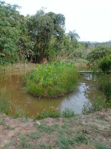 Linda Chácara com Água corrente nos Fundos - Foto 3