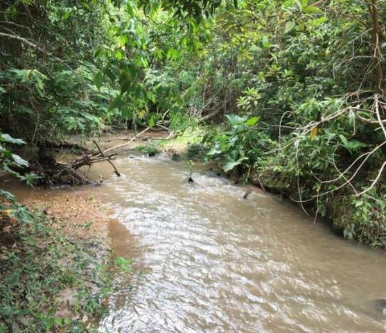 Chácara de 20mil Mt à venda a 80 km de Goiânia - Foto 2