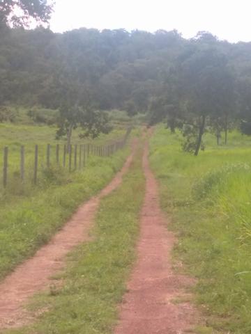 Chácara - Foto 4