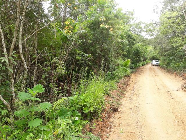 VENDO LINDA CHÁCRINHA DE 2.000m2° NA REPRESA DO CAPIVARI !!! - Foto 11