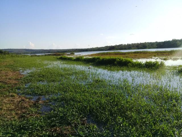 Fazenda Paudarco no Piauí - Foto 6