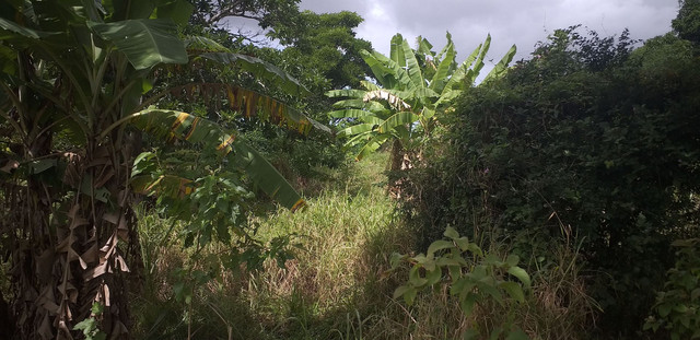 Terreno pra construir sítio ou chácara - Foto 4
