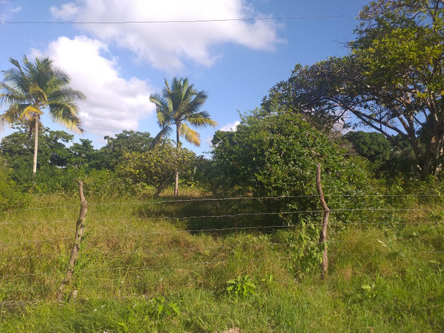 Terreno pra construir sítio ou chácara - Foto 6