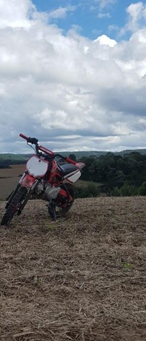 MINI MOTO PRO TORK 100F