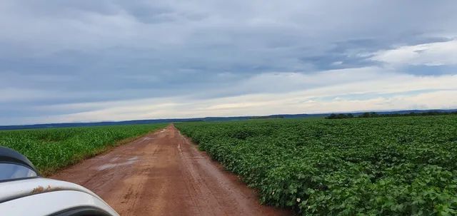 R$600 Milhões                                    Fazenda de 17.136 hectares-MT - Foto 4