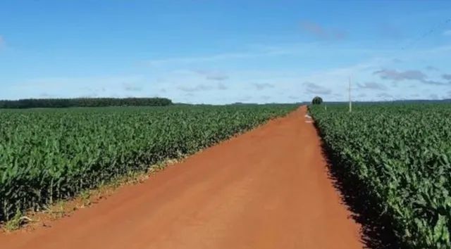 R$600 Milhões                                    Fazenda de 17.136 hectares-MT - Foto 3