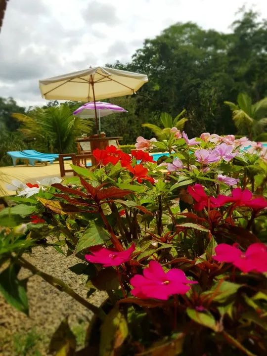 Excelente chácara condomínio fechado  - Foto 5