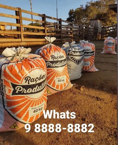 Esterco Bovino (Entrego com Taxa) - Foto 5