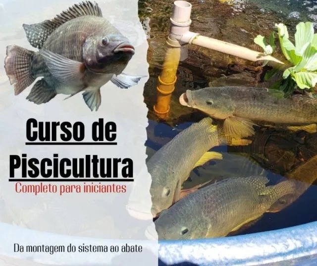 CD CURSO CRIAÇÃO DE PEIXES