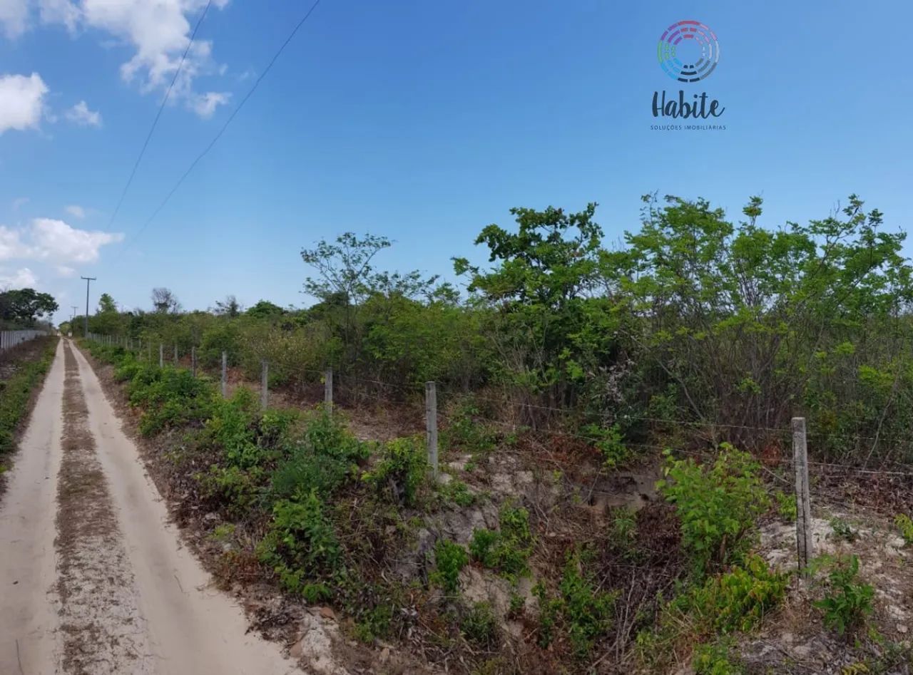 Terreno para Venda em Cauipe Caucaia-CE - Foto 2