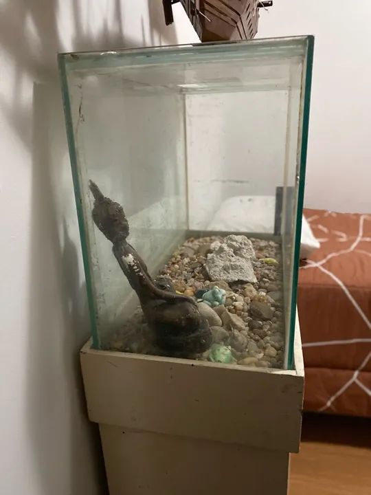 Aquário com móvel completo  - Foto 6