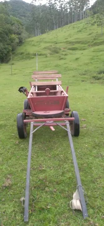 Carroça e corriama  - Foto 2