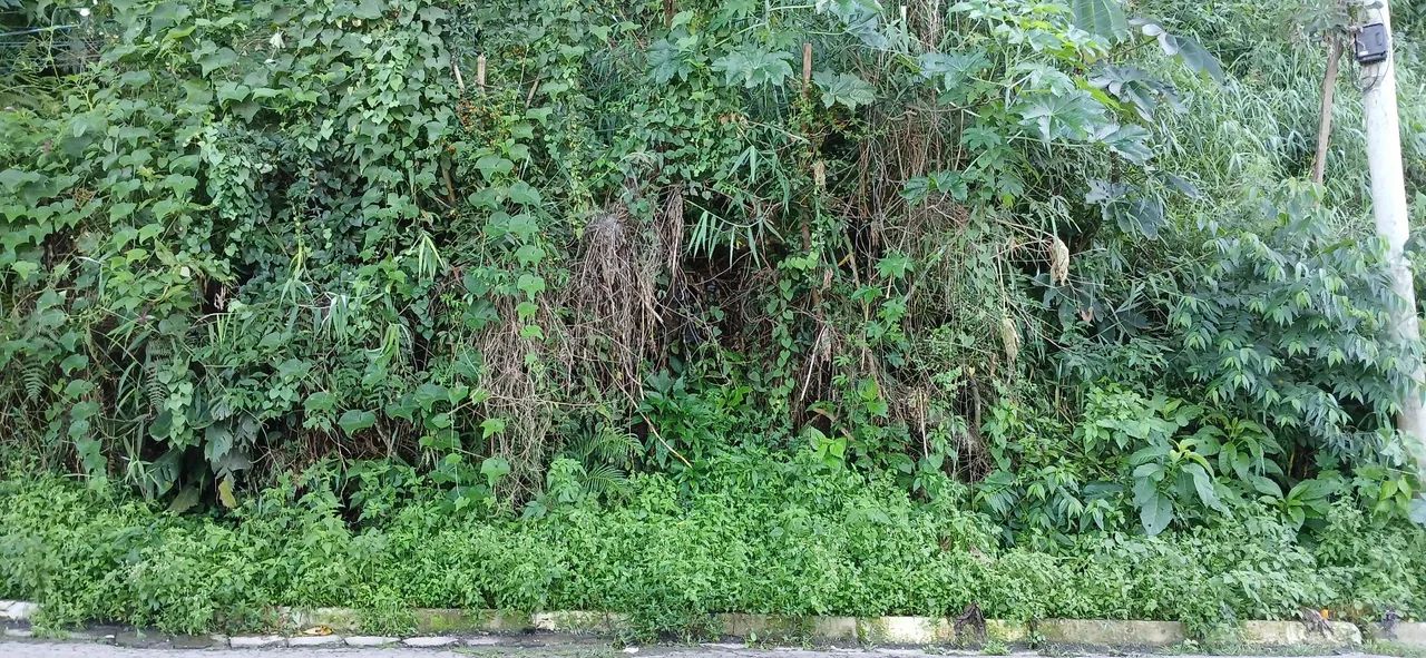 *OPORTUNIDADE* Vendo Terreno c Escritura - lote 10 - Francisco Morato próx a F. da Rocha