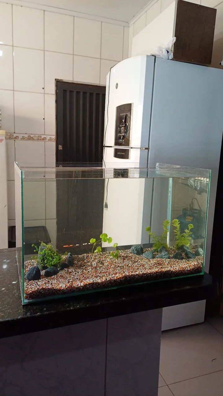 Aquário com plantas e já com substrato fértil  - Foto 2