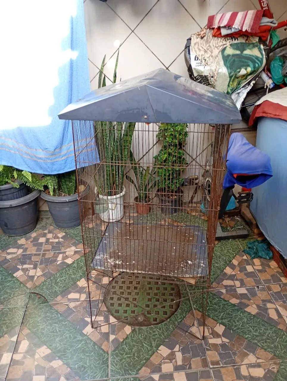 Viveiro em bom estado  - Foto 2