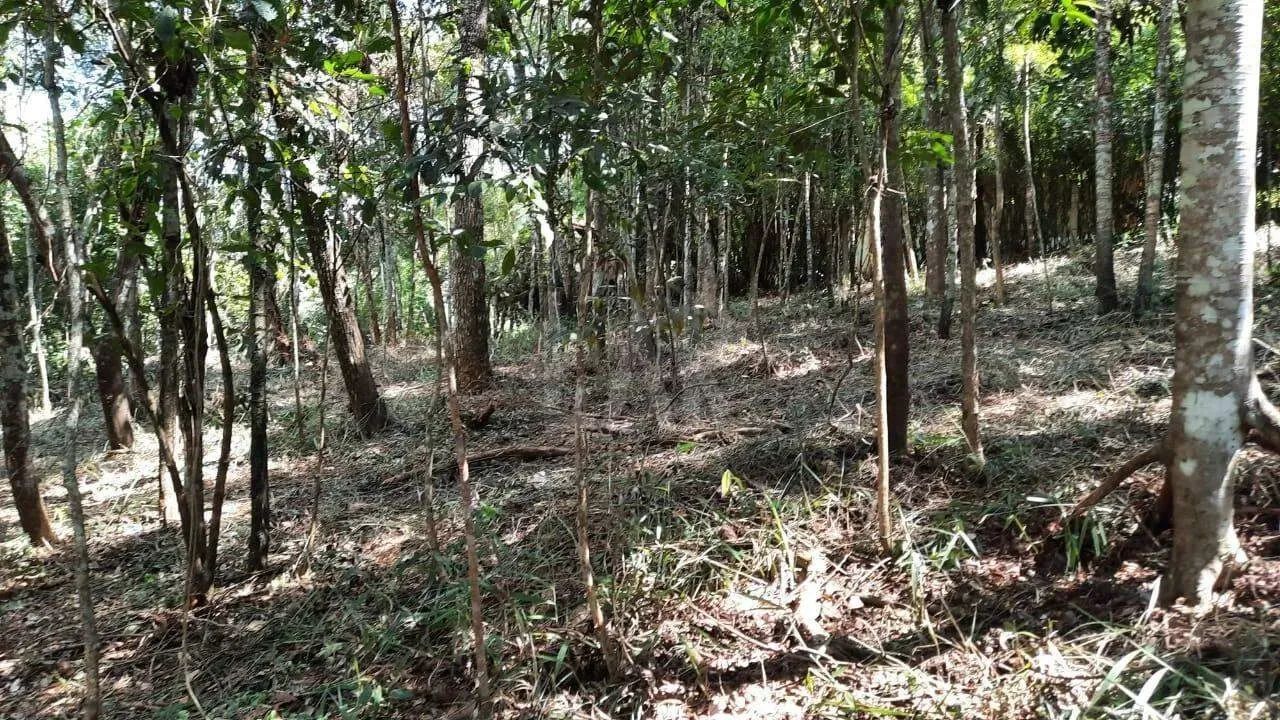 Lote em Condomínio à venda, Estância Serrana - Nova Lima/MG - Foto 6