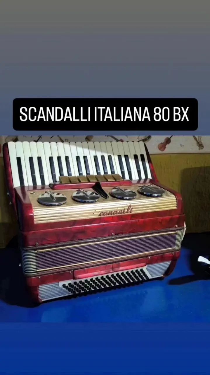ACCORDION SANFONA (SPECIAL PRICES) MUSIC LESSONS FOR ALL AGES64298714546435122