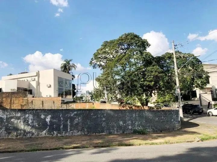 Terreno à venda e para alugar em Campinas, Nova Campinas, com 925 m²