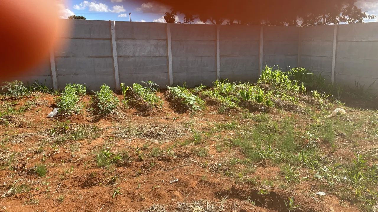 Lotão Mini chácara - Foto 4