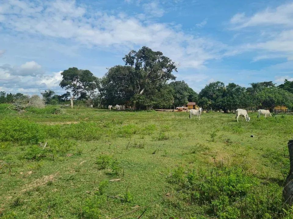 Fazenda para Venda em Araguaçu, Zona Rural - Foto 3