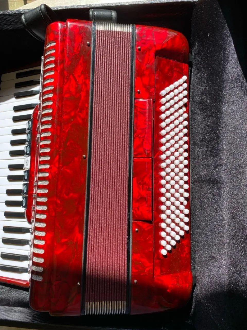 Sanfona/Acordeon Prowinds 120 Baixos - Foto 4