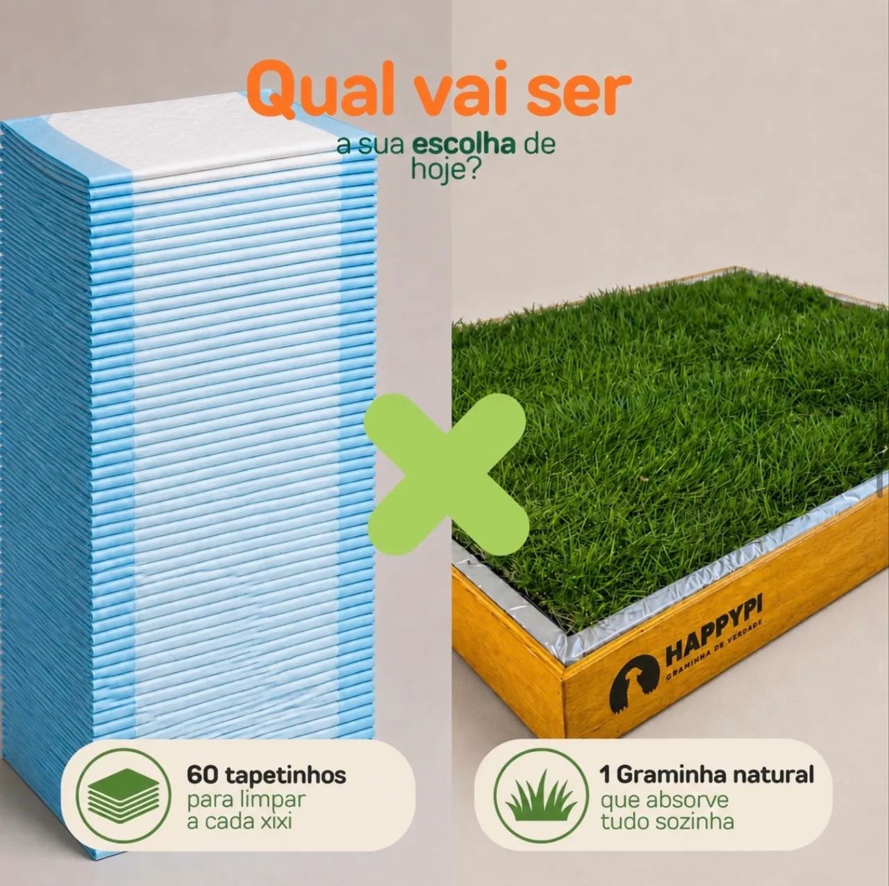 Caixa de madeira com grama natural Happy Pi  - Foto 2