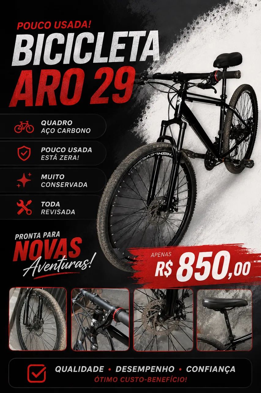 BICICLETA ARO 29