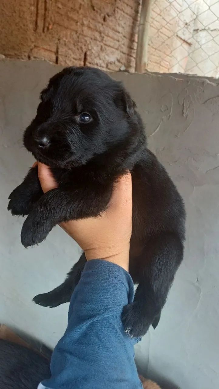 VENDO  - Foto 4