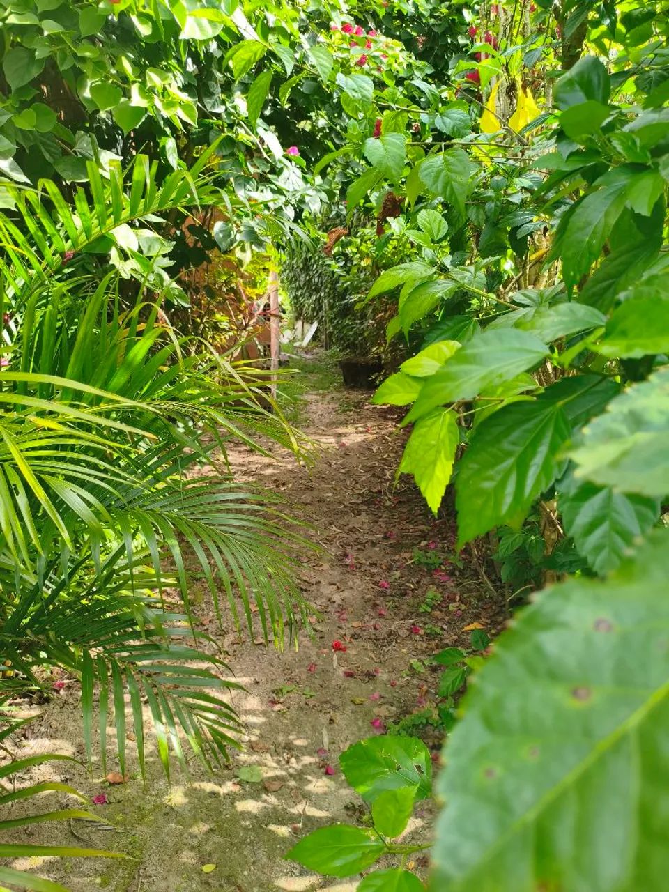 Casa/sítio na estrada de nova cruz - Foto 4