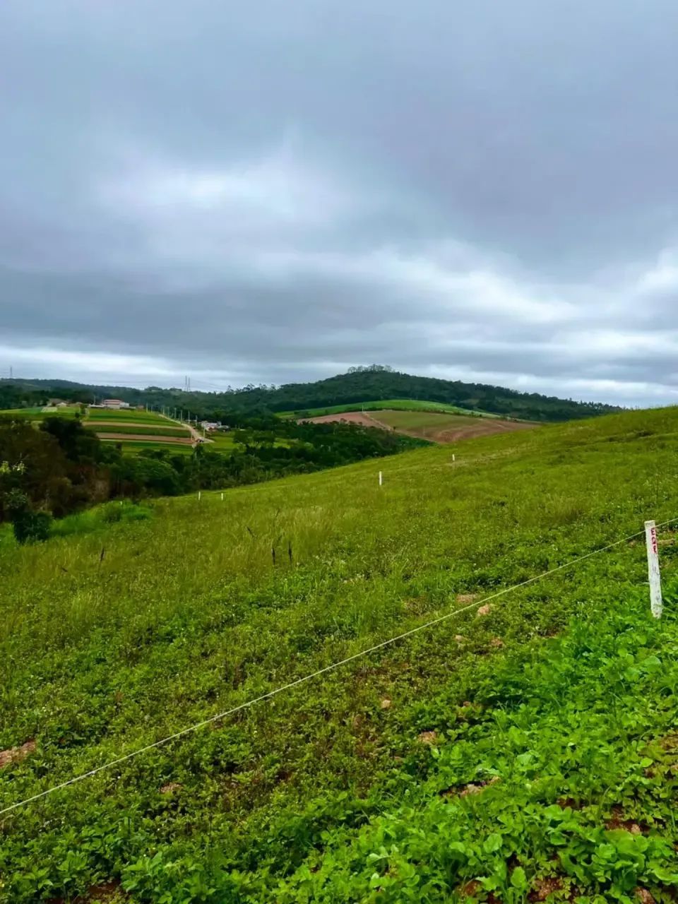 85M- TERRENO DE ALTO PADRÃO EM COTIA - Foto 3
