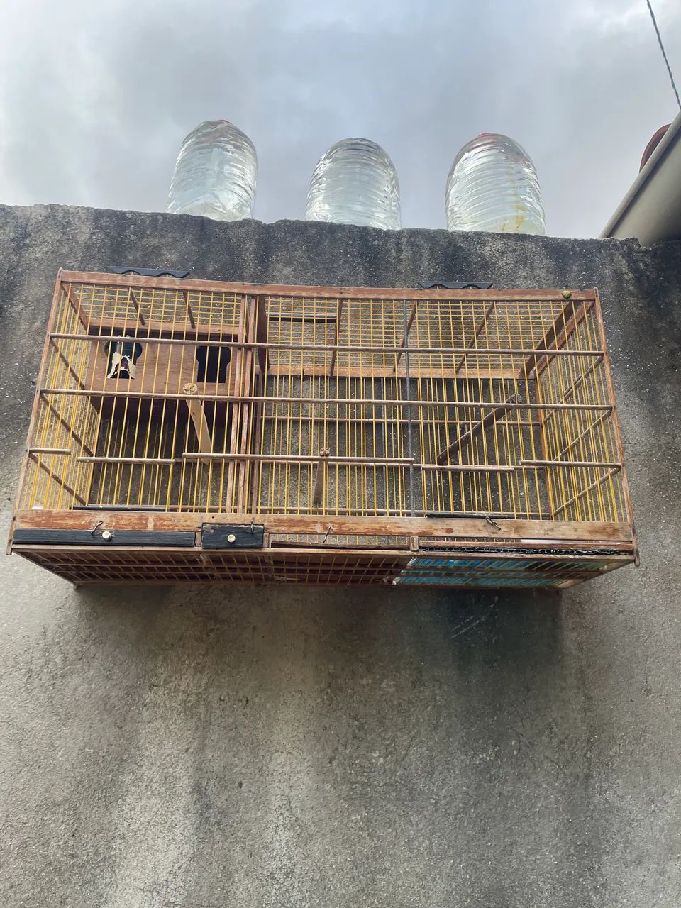 GAIOLA PRA VENDER LIGEIRO