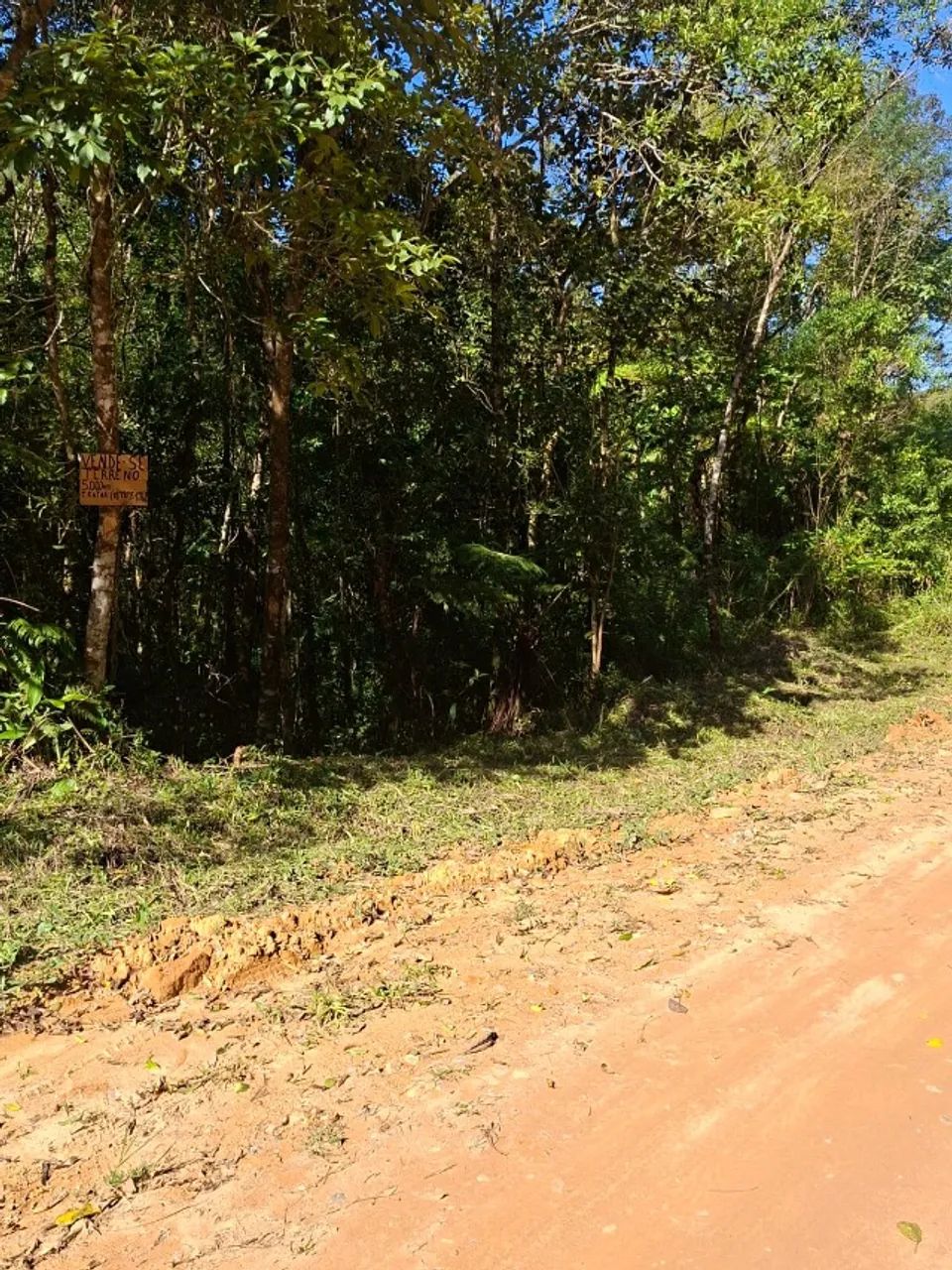 Terreno 5.000ms- Ótimo preço, aceito troca. - Foto 2