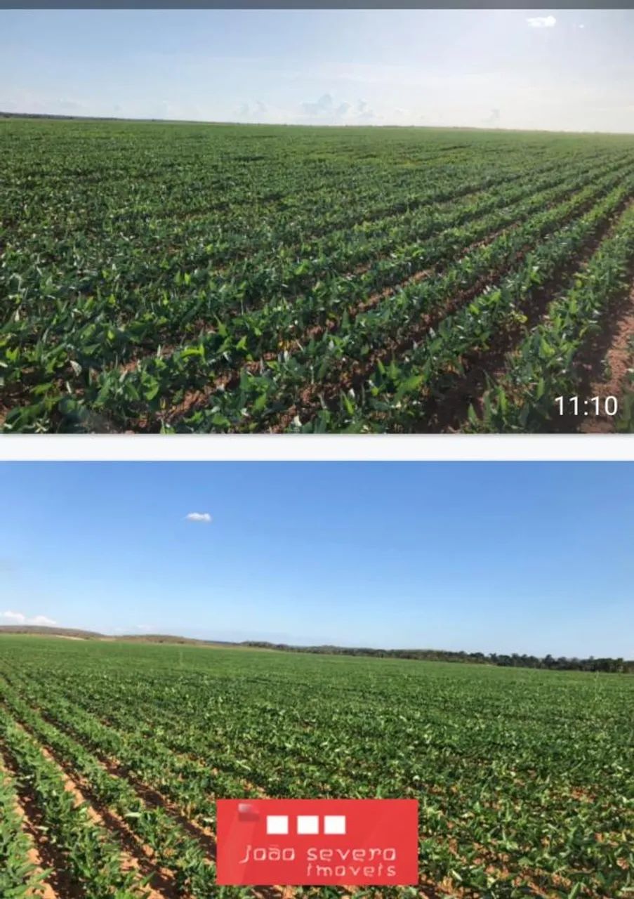 Fazenda para Venda em Rio Sono
