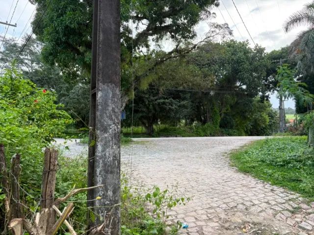TERRENO -10 x 20 em Santa Luzia do Norte. - Foto 3