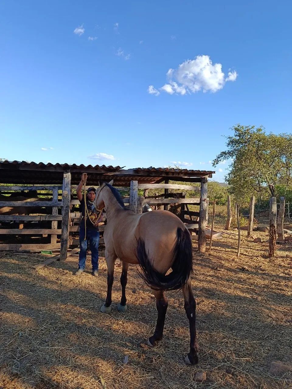 vendo ou troco - Foto 6