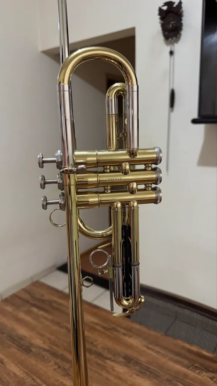 CLARIM TRIUNFAL Capri GETZEN ELKHORN WI USA 53121 - Instrumentos ...